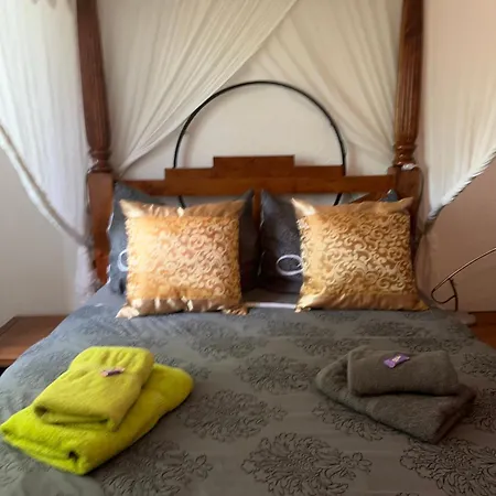 Lejlighed Kaiserzeit Im Himmelbett - Nest Am Karl-heine-kanal Im Kuenstlerviertel Leipzig